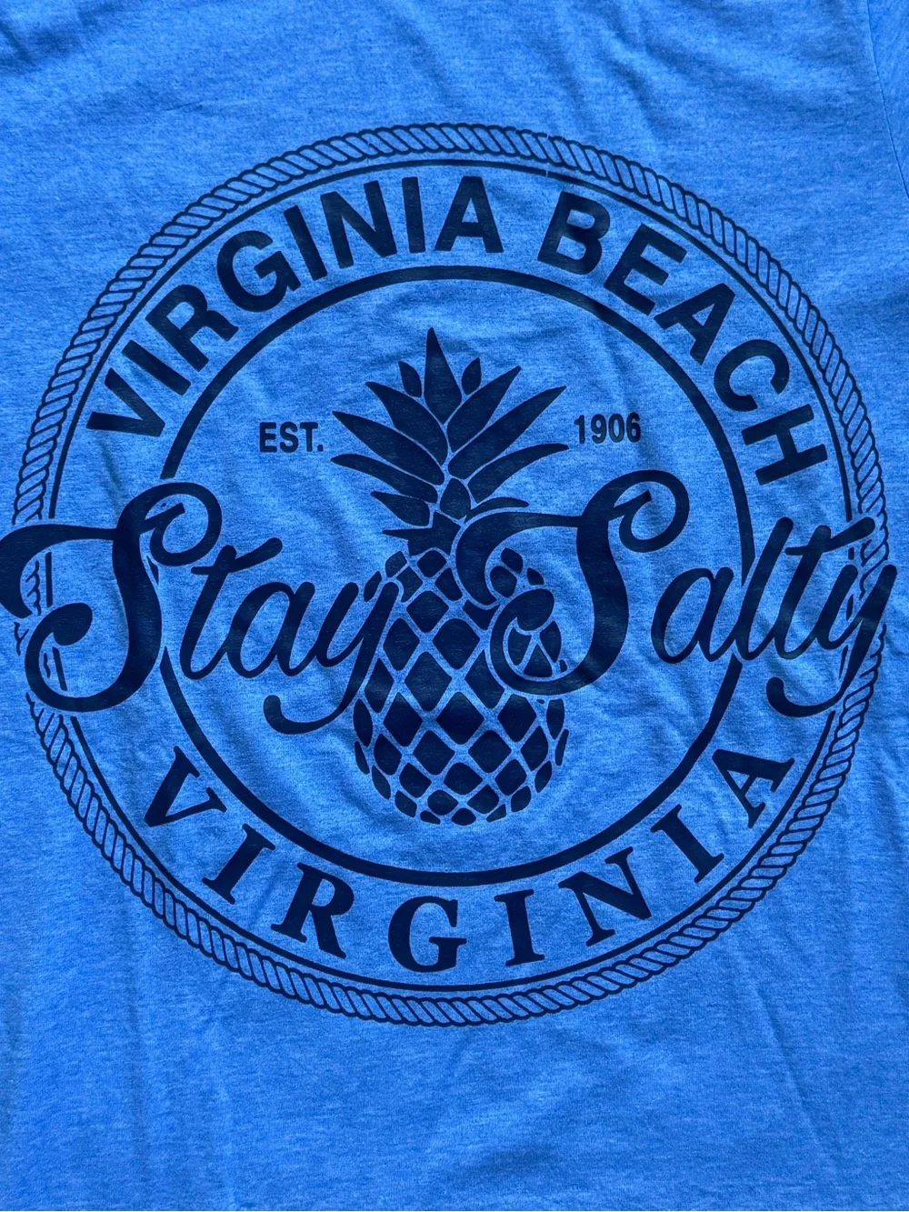 Gildan Blue Virginia Beach 